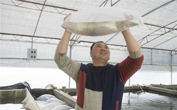 今日雨水｜一场春雨孕育万物新生休闲区蓝鸢梦想 - Www.slyday.coM