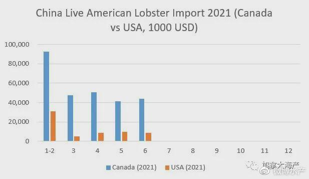 2021上半年中国进口美洲螯龙虾再创历史新高，加拿大遥遥领先美国