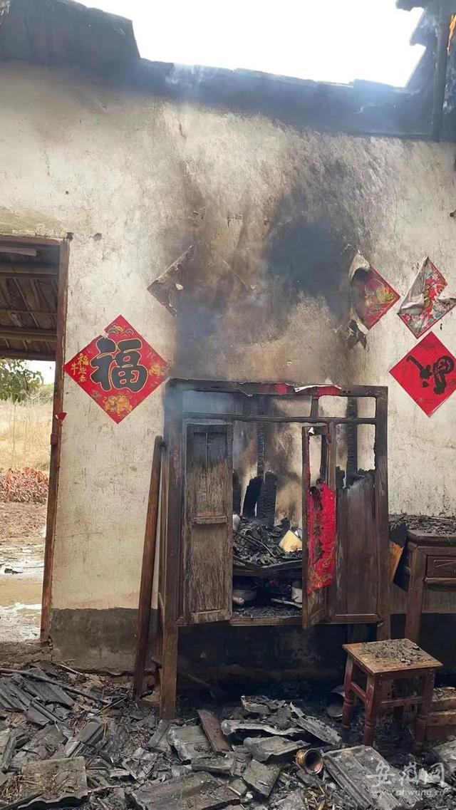 熊孩子玩火引燃院内树木 春节假期合肥发生火灾178起休闲区蓝鸢梦想 - Www.slyday.coM