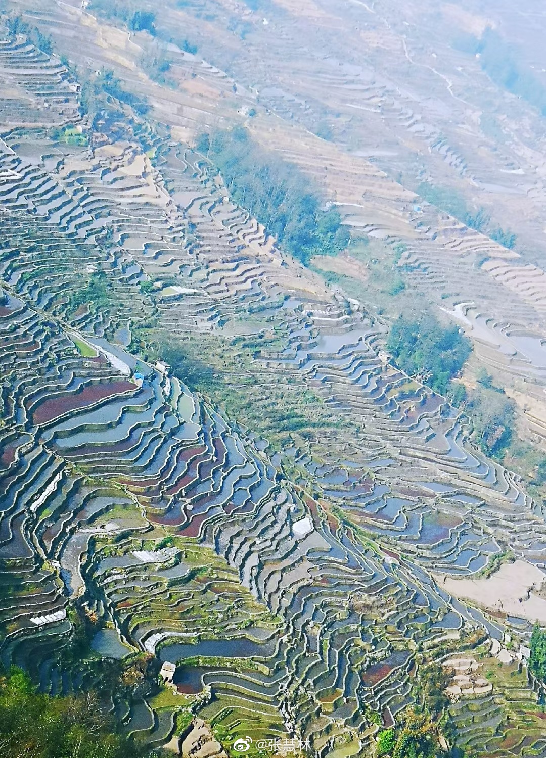 元阳梯田坝达观景台壮观的梯田景象一览无余