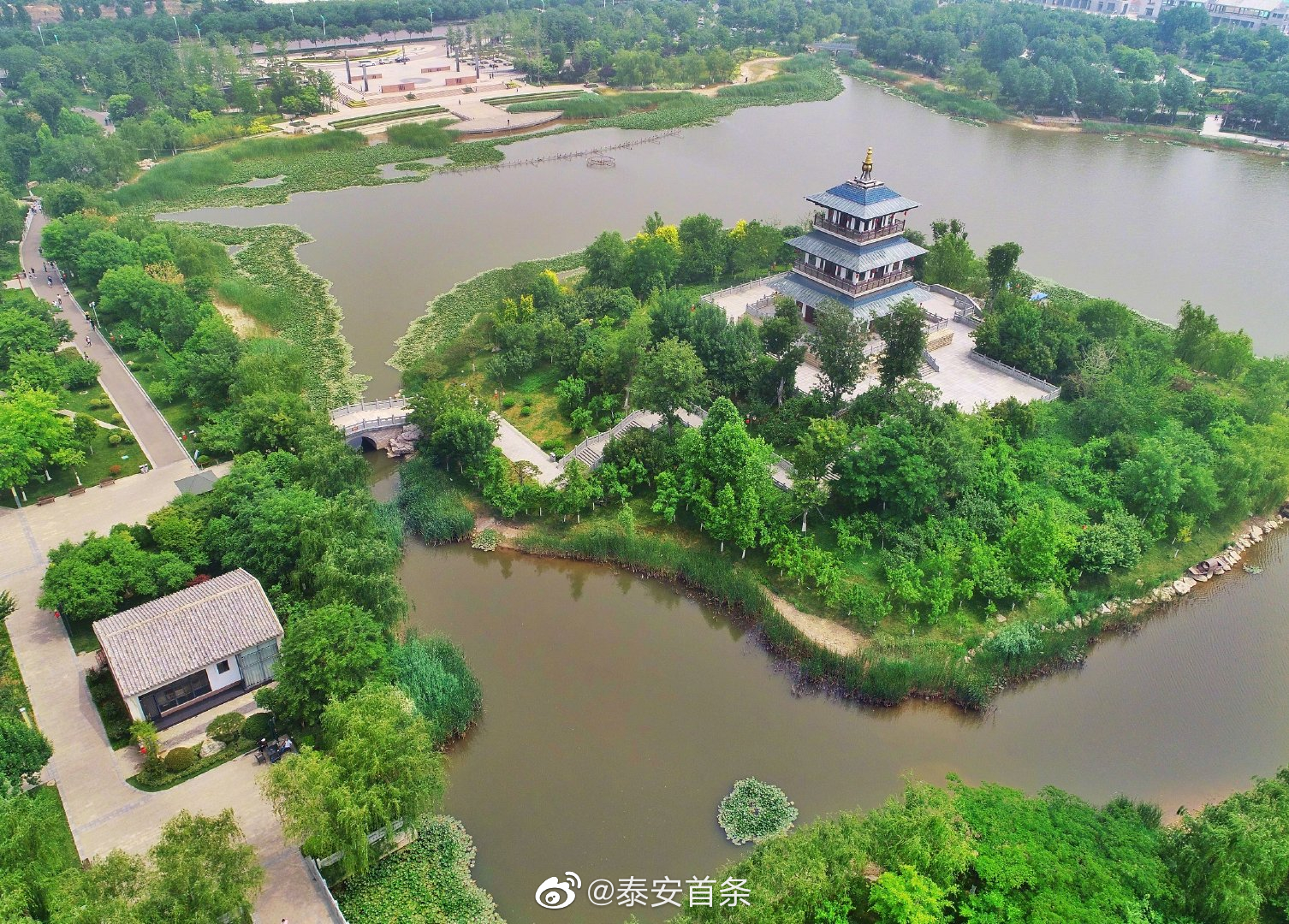 泰安市宁阳县:复圣公园的“四时”之美__财经头条