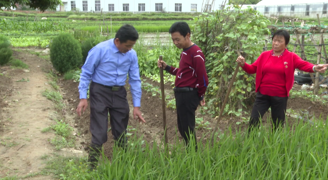 陈华章:深耕沃野 播种希望|陈华章|泉港区|林村_新浪新闻
