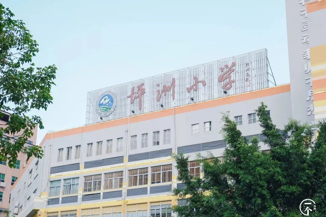 坪洲小学,径贝小学,海城小学,宝安第一外国语学校初中部,中英公学.