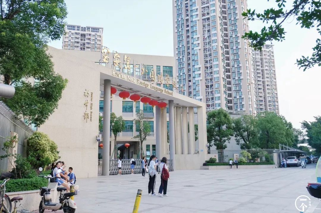 坪洲小学,径贝小学,海城小学,宝安第一外国语学校初中部,中英公学.
