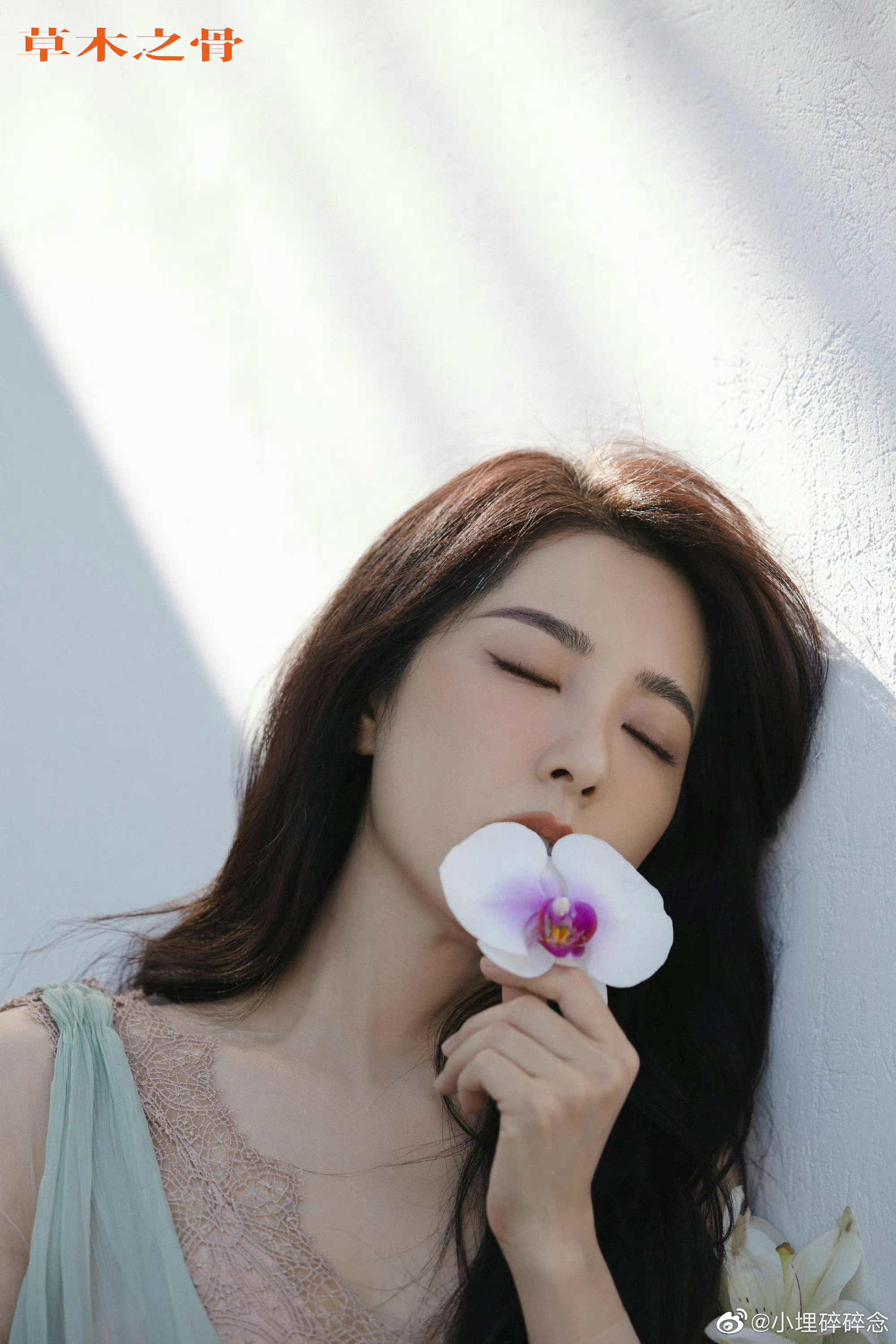 真的会被曾黎的美貌狠狠惊艳到