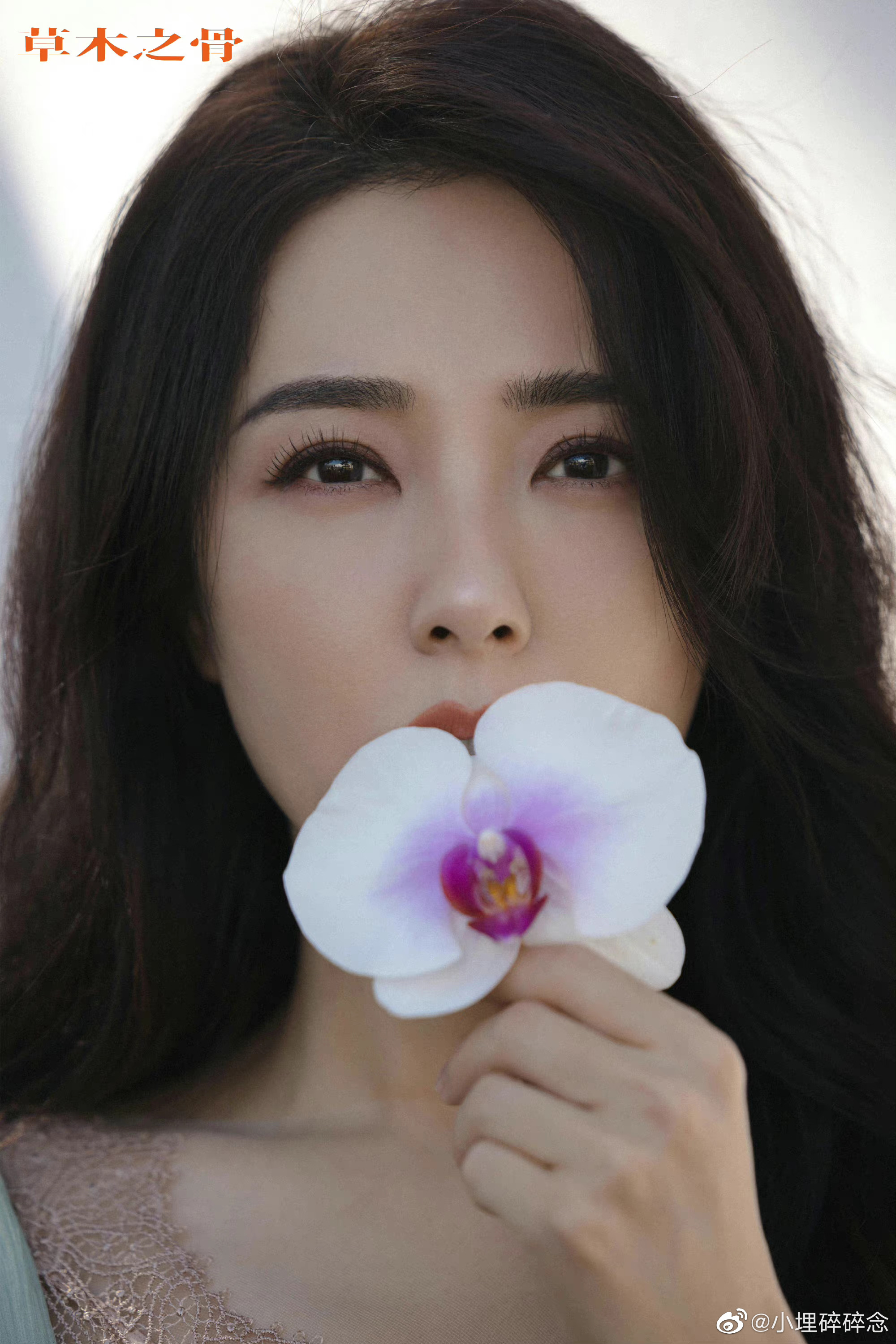 真的会被曾黎的美貌狠狠惊艳到