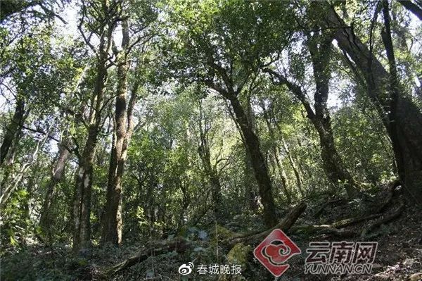 云县有哪些值得一去的景点 云县适合居住吗
