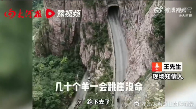 十几万的汽车推荐 哪些车型性价比高