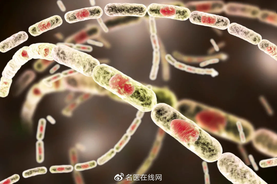 动物源性传染病炭疽在全国多地出现,那超市里的牛羊还能吃吗?