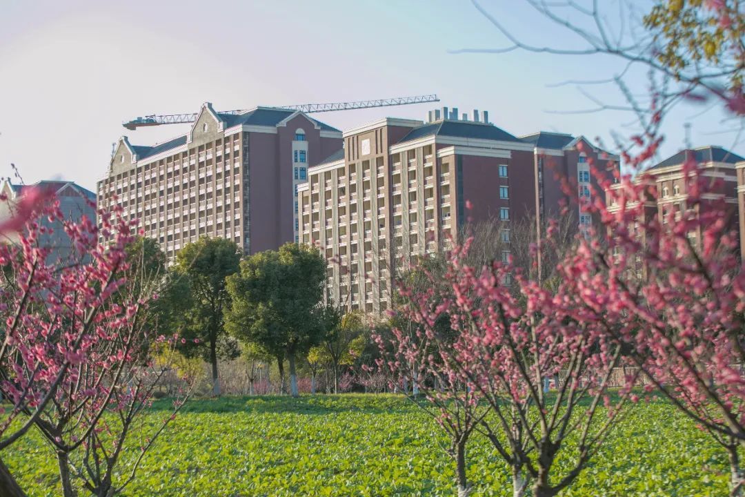 上海邦德職業技術學院上海中僑職業技術大學上海思博職業技術學院上海