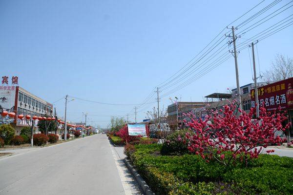 近年来,安徽省阜阳市太和县坟台镇锚定目标,真抓实干,通过清理,整治