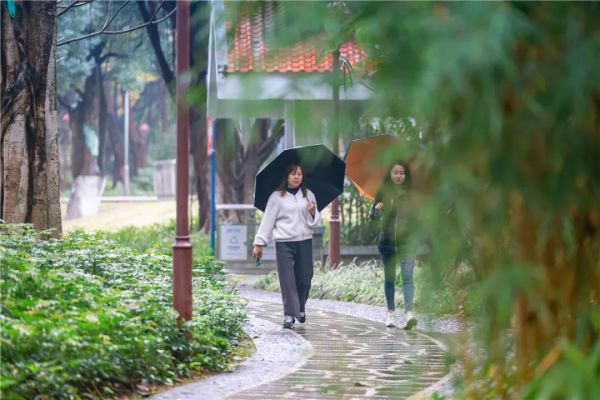 今日雨水｜一场春雨孕育万物新生休闲区蓝鸢梦想 - Www.slyday.coM