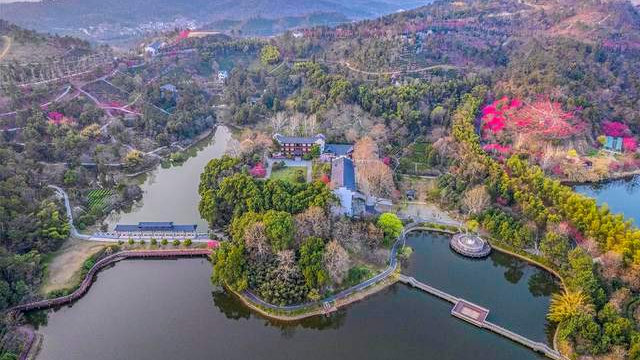 定了!武汉市黄陂区新增1个国家4A级景区,祝贺!|黄陂区|花乡|武汉市_新浪新闻