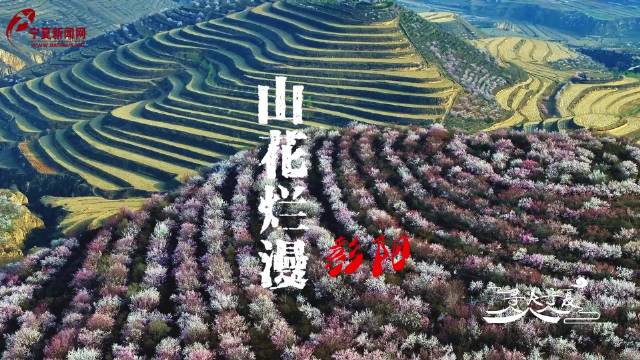 寻美宁夏山花烂漫彭阳