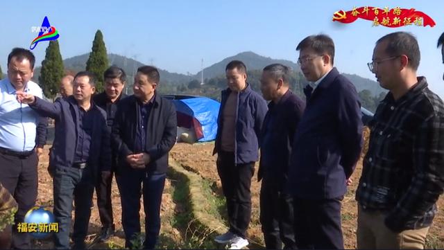 乡贤陈茂春考察福安市茶产业发展情况