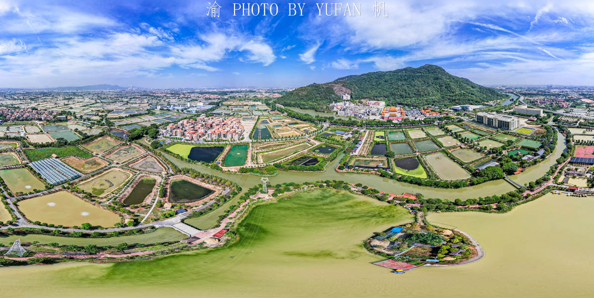 来到了西樵山下的渔耕粤韵文化旅游园,在这里看到了传说中的桑基鱼塘