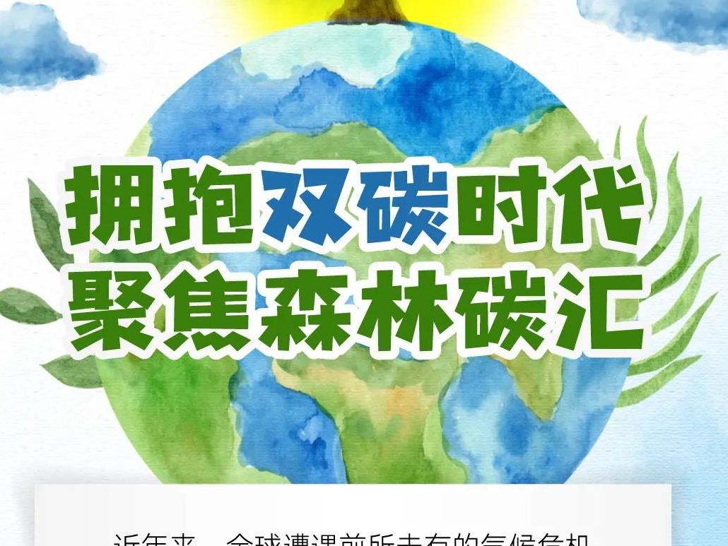 {科普进林区·碳达峰碳中和}拥抱双碳时代,聚焦森林碳汇