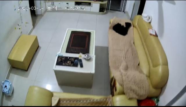 广东惠州凌晨发生4.1级地震：多地震感强烈 有人从睡梦中被惊醒休闲区蓝鸢梦想 - Www.slyday.coM