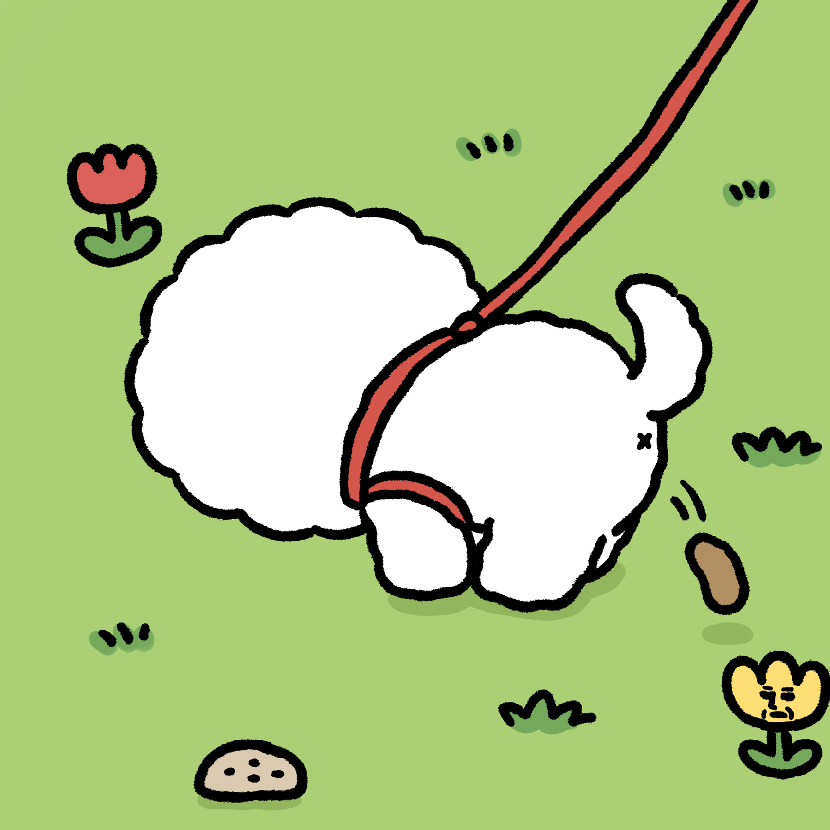 比熊能有什么坏心眼呢_高清图集_新浪网