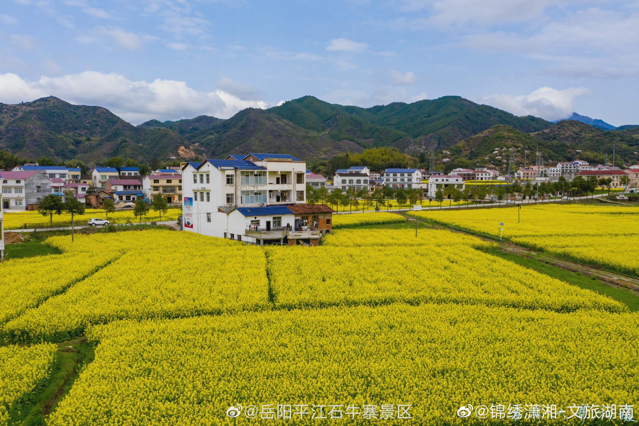 文娱热话：2025年陌陌上怎么找小姐最新方法解析与“陌上”一词含义解析