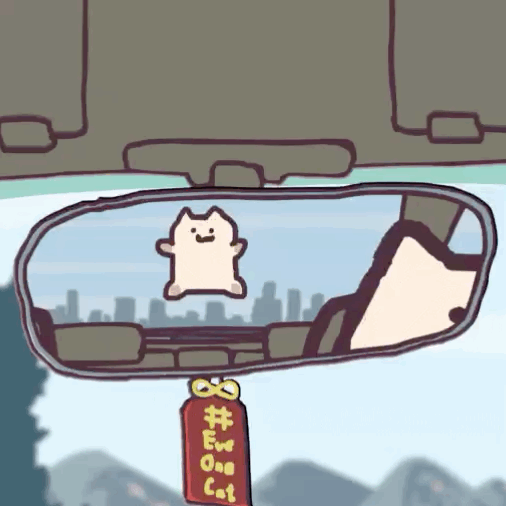 今日快乐源泉,沙雕猫动图更新了.twitter:motions_cat