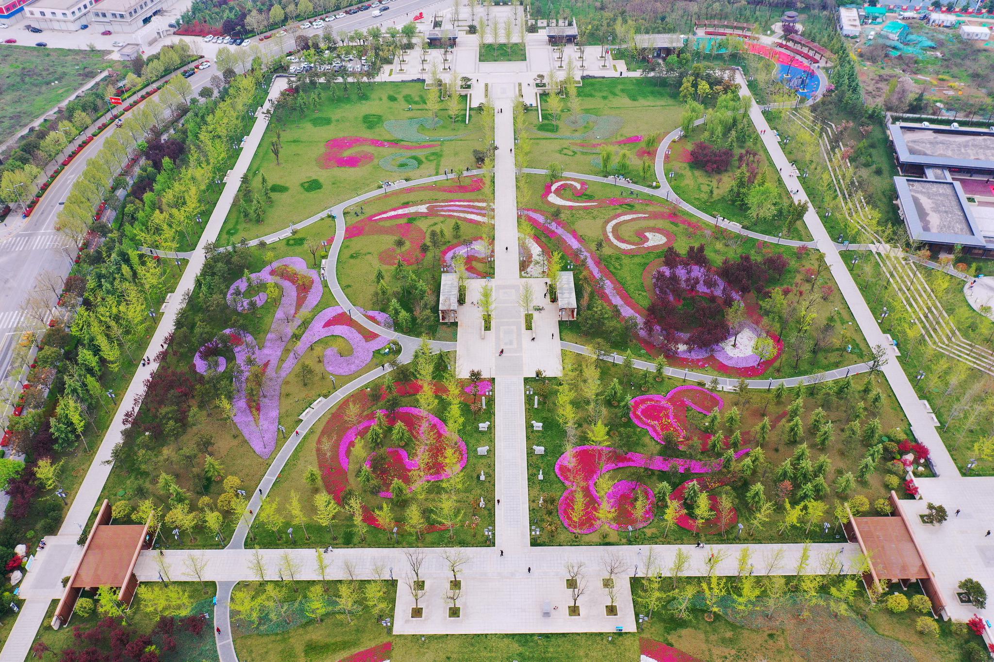 万余平芝樱粉艳绽放世子公园戴上了花项链