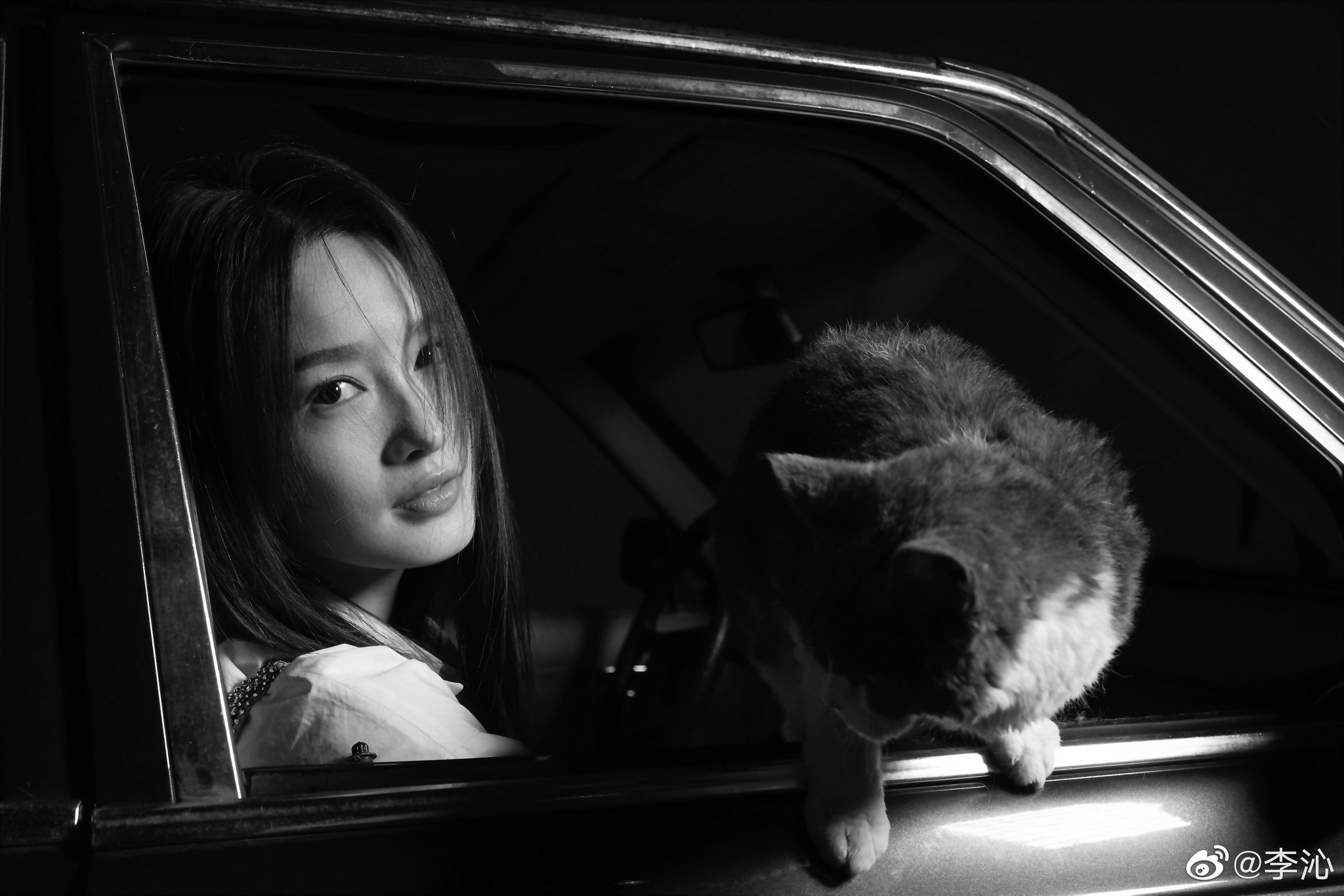 笑死了 沁沁子 李沁这是真不拿我们当外人