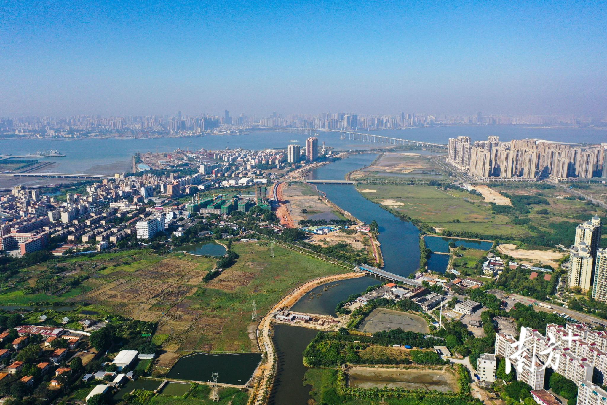 湛江市第十二次党代会记者会上坡头区委书记这样说