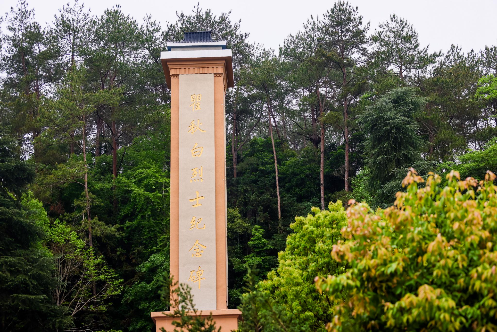 广式助闽穗龙情深追寻红色足迹穗龙cp重温波澜壮阔的闽西革命历史