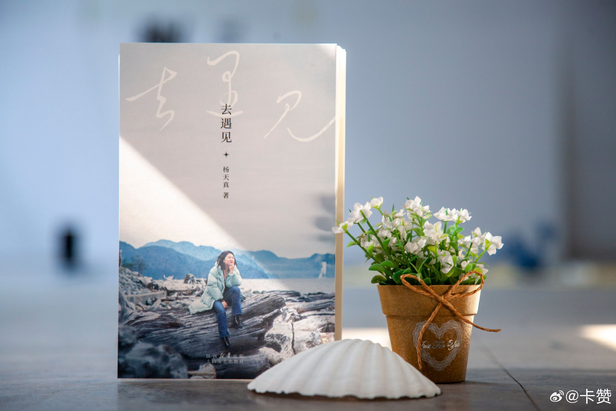 探索未知,遇见更好的自己|杨天真_新浪新闻
