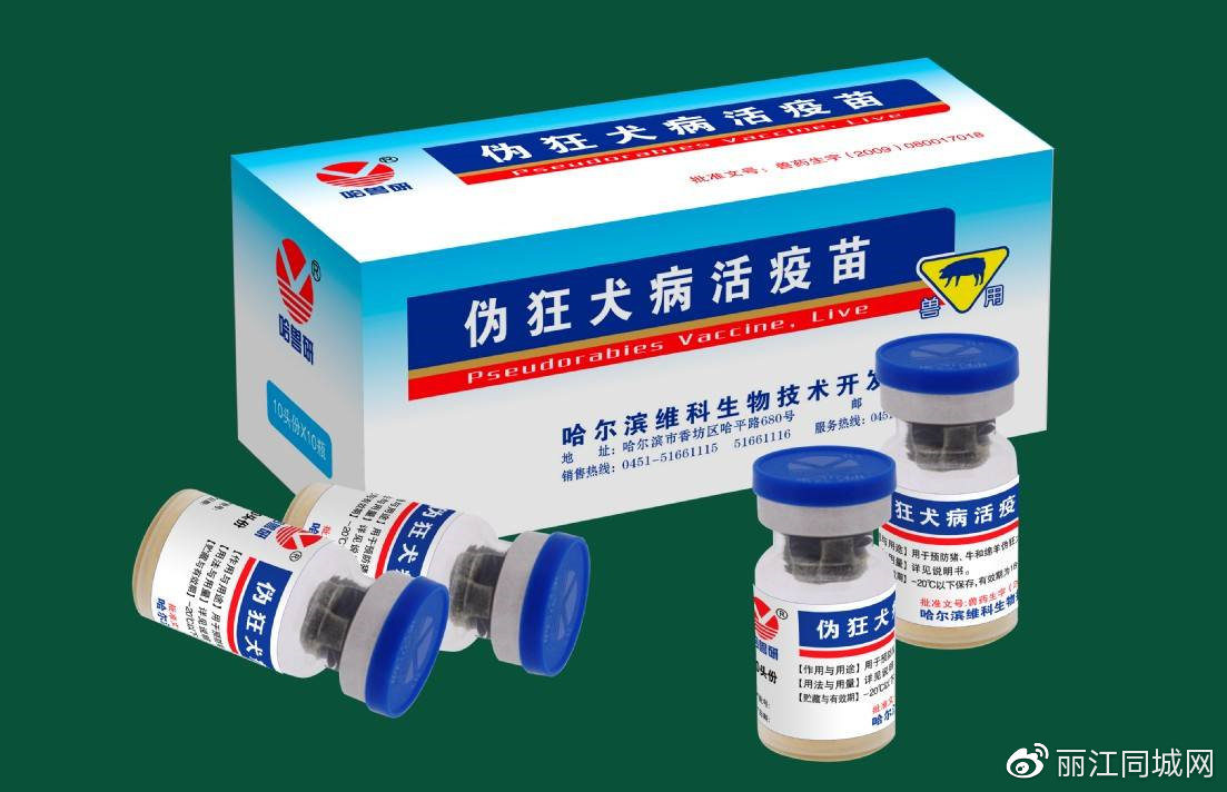 小心被狗咬 丽江人用狂犬疫苗缺货