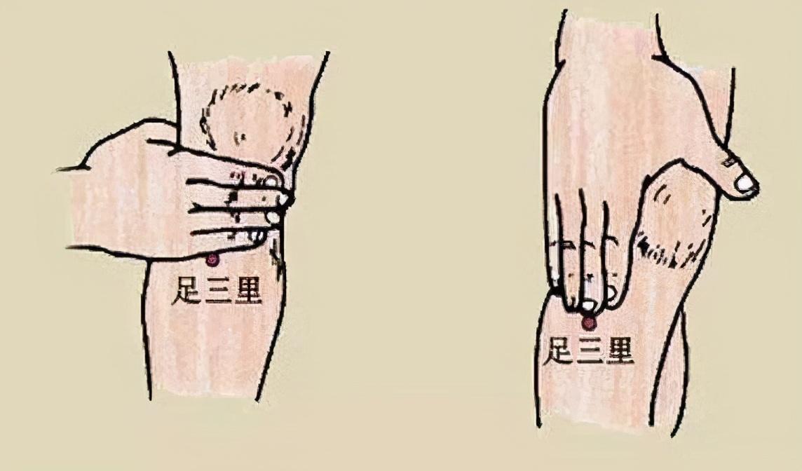 中医认为,足三里,是胃经的合穴, 全身气血不和等问题,都可以通过按揉