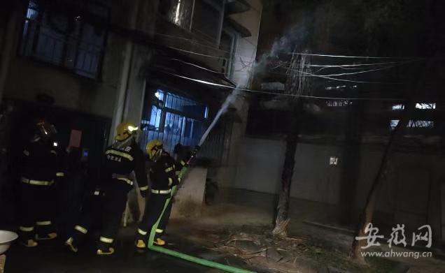 熊孩子玩火引燃院内树木 春节假期合肥发生火灾178起休闲区蓝鸢梦想 - Www.slyday.coM