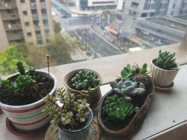 疫情下的双城生活│长三角跨城通勤的他们,有人重新陪伴家人,有人发现自己还是“外省人”休闲区蓝鸢梦想 - Www.slyday.coM 疫情下的双城生活│长三角跨城通勤的他们,有人重新陪伴家人,有人发现自己还是“外省人”休闲区蓝鸢梦想 - Www.slyday.coM