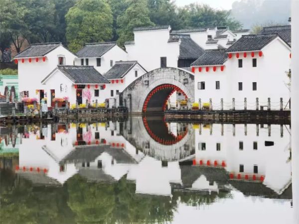 今日雨水｜一场春雨孕育万物新生休闲区蓝鸢梦想 - Www.slyday.coM