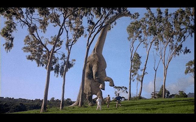 在一个飘着冷面和烤肉香的地方,找到了亚洲第一块腕龙化石!