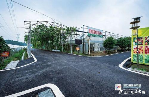 「江西是个好地方——魅力抚州」崇仁:农村集体经济成为乡村振兴"活力