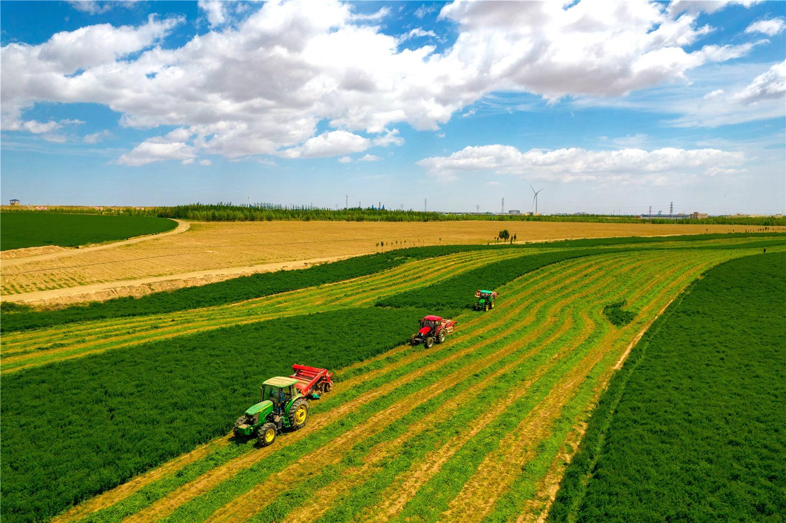 宁夏红寺堡区高效节水种植苜蓿开镰收割|宁夏|红寺堡区|节水_新浪新闻