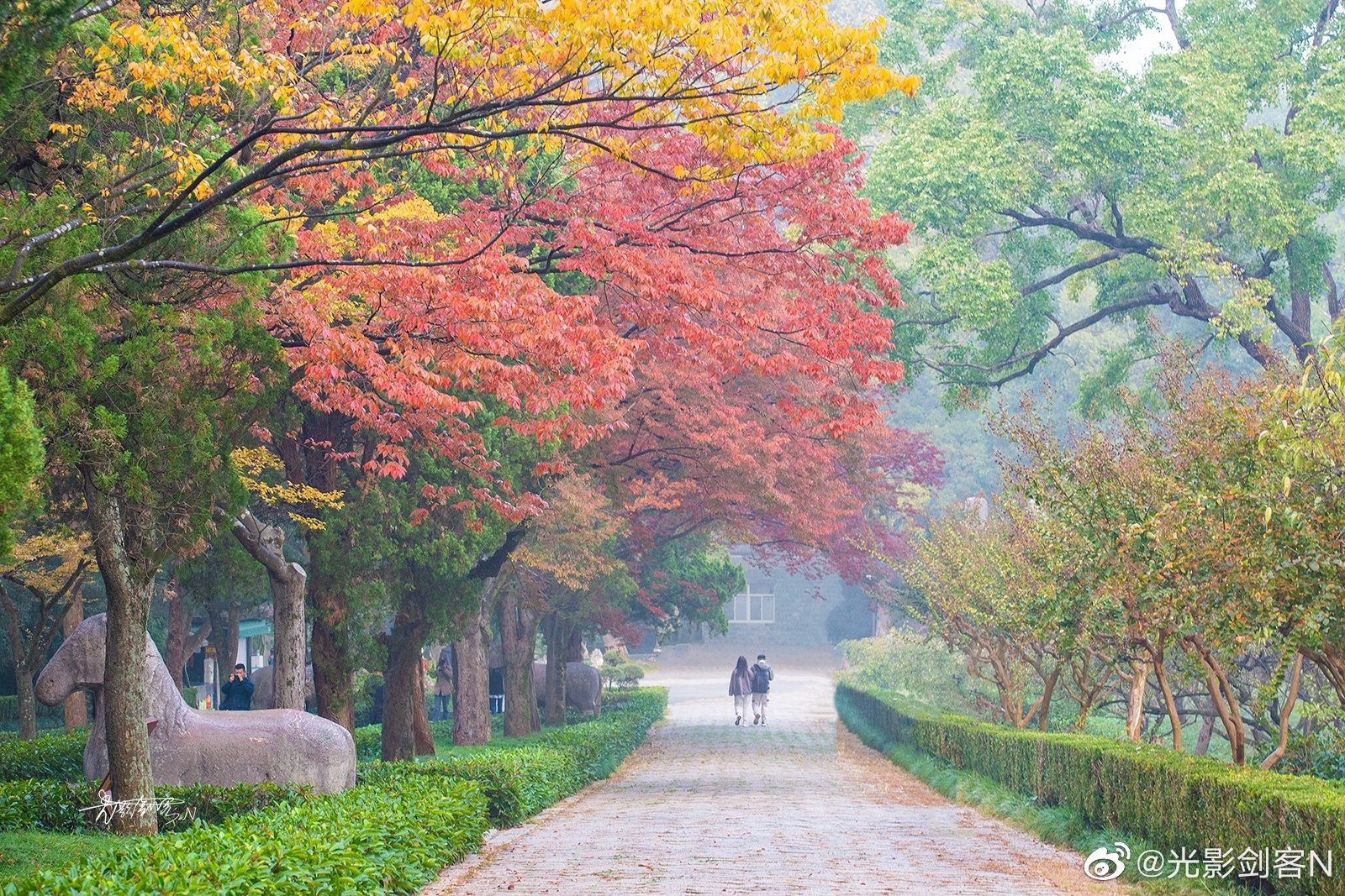 极美南京,十月金秋,南京最美的秋景在这里,五彩斑斓石象路__财经头条
