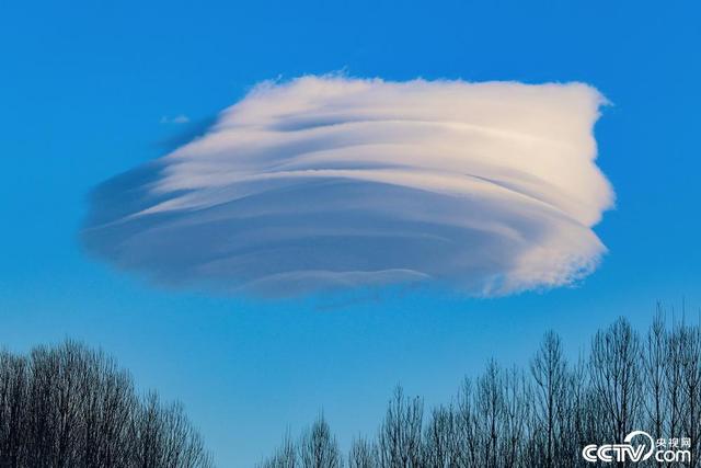 土耳其凡城天空出现奇特的荚状云|土耳其|空气|形状_新浪新闻