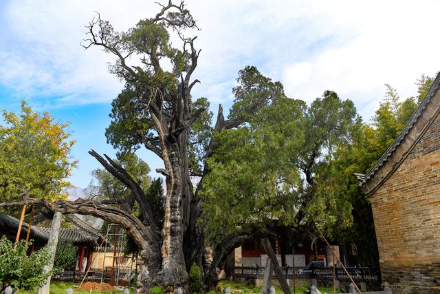 中国人有多浪漫!在郑州,读懂中国第一首情诗休闲区蓝鸢梦想 - Www.slyday.coM 中国人有多浪漫!在郑州,读懂中国第一首情诗休闲区蓝鸢梦想 - Www.slyday.coM
