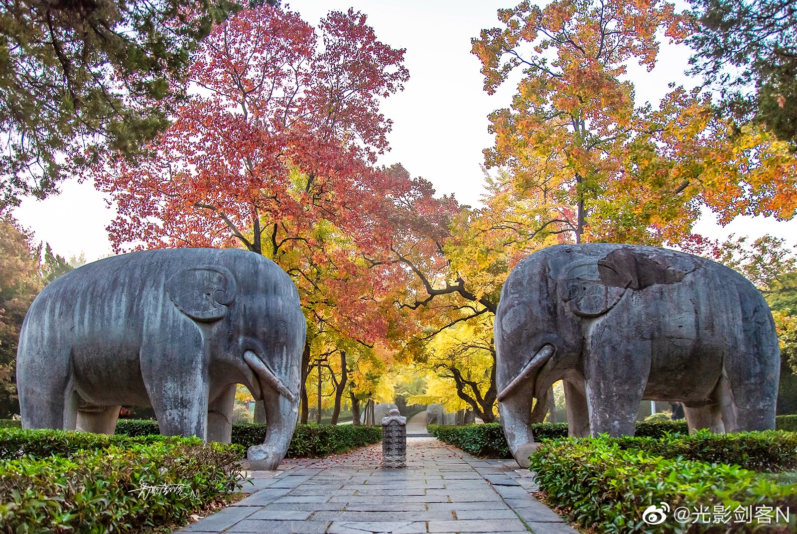 极美南京,十月金秋,南京最美的秋景在这里,五彩斑斓石象路__财经头条