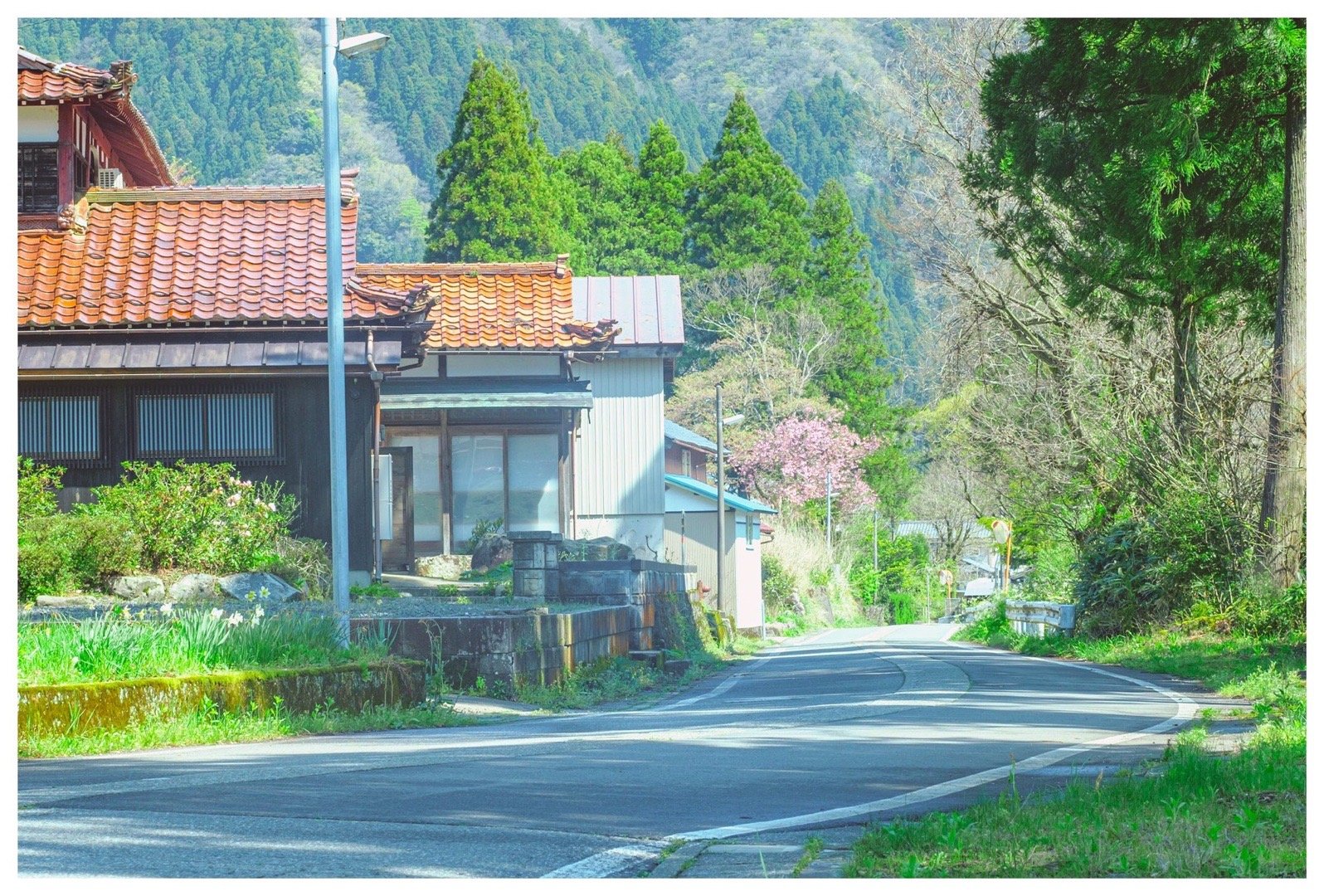 日推网友おくで镜头中的乡村风景,让人仿佛置身于动漫世界_高清图集