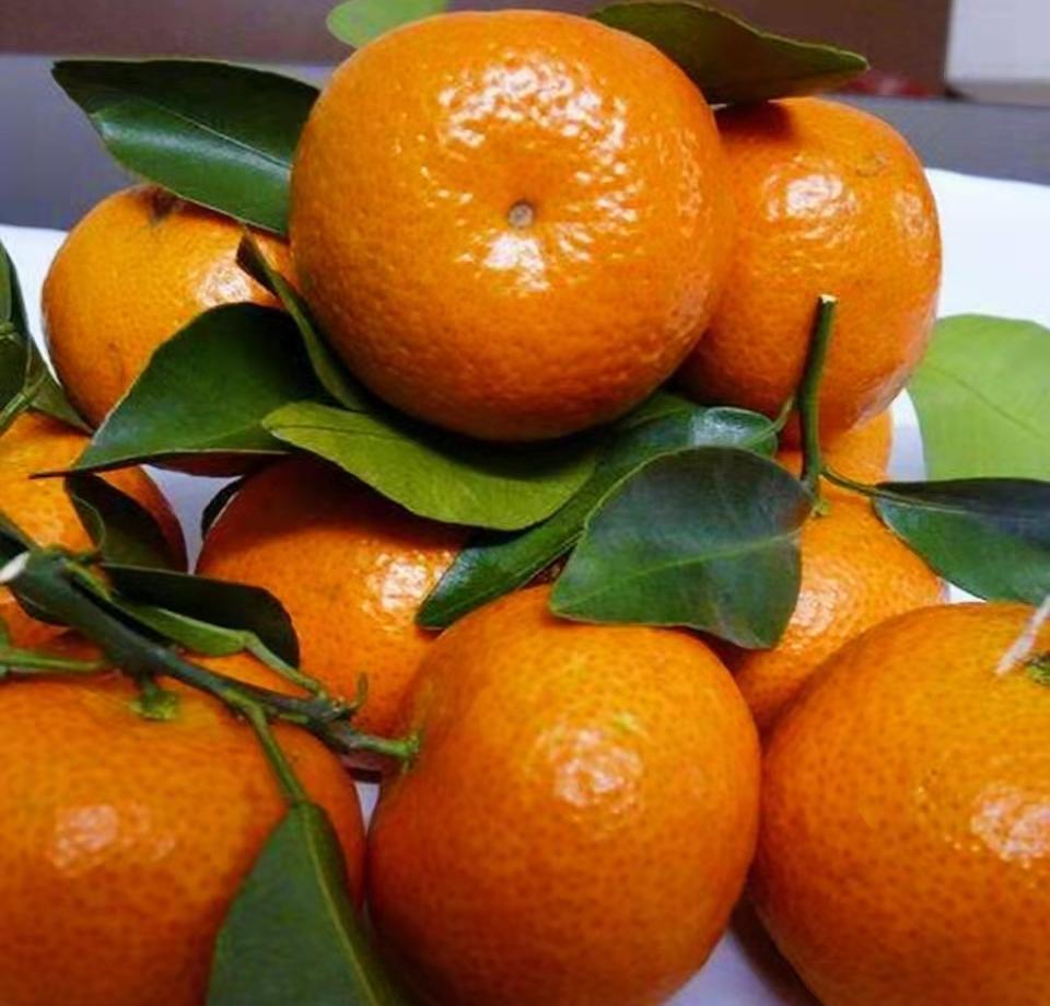 春节 “顶流”、一筐上头……这种水果吃多了真的会变“小黄人”？休闲区蓝鸢梦想 - Www.slyday.coM