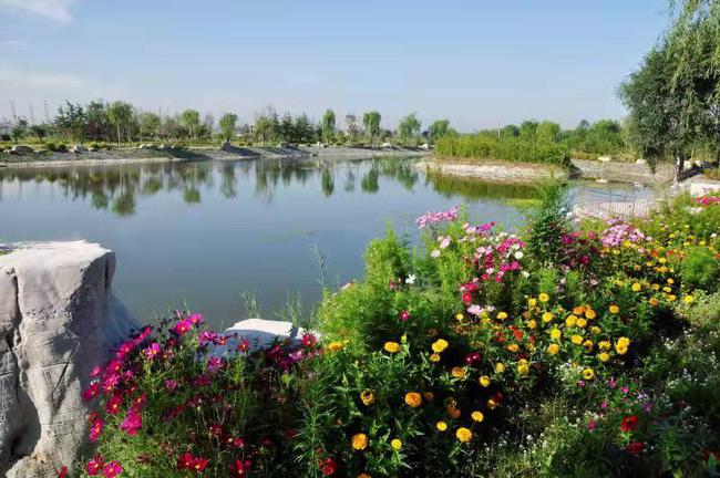 即墨蓝村:王演庄河成功获评省级美丽示范河湖