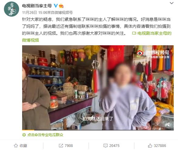 疑似《当家主母》群演称猫被电死 剧组回应：已报案休闲区蓝鸢梦想 - Www.slyday.coM