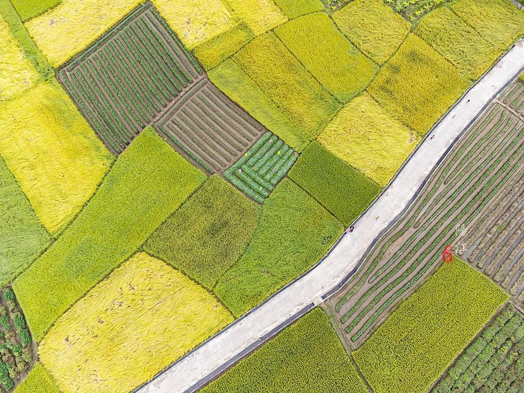 一个籍籍无名的小村秋色美得令人心动喀斯特地貌可媲美桂林