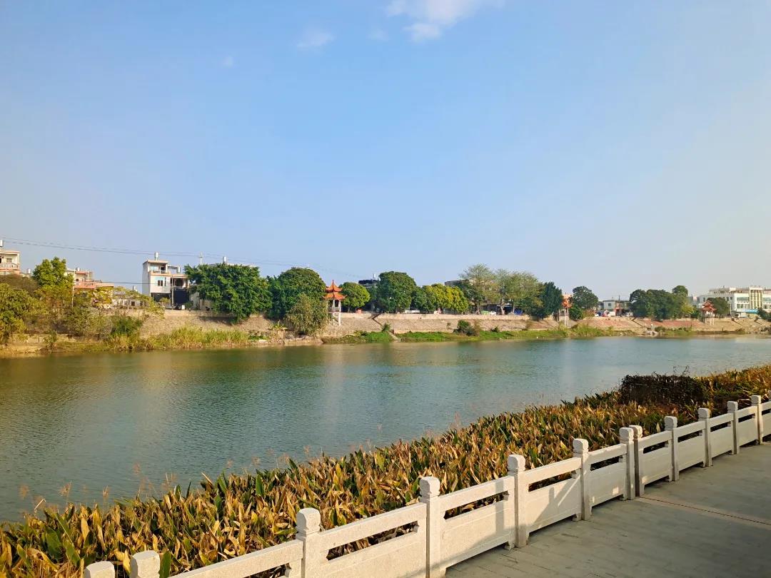 漳州诏安县东溪:打好"生态牌",做足"水文章"|南诏镇|河道|沈益婷_新浪