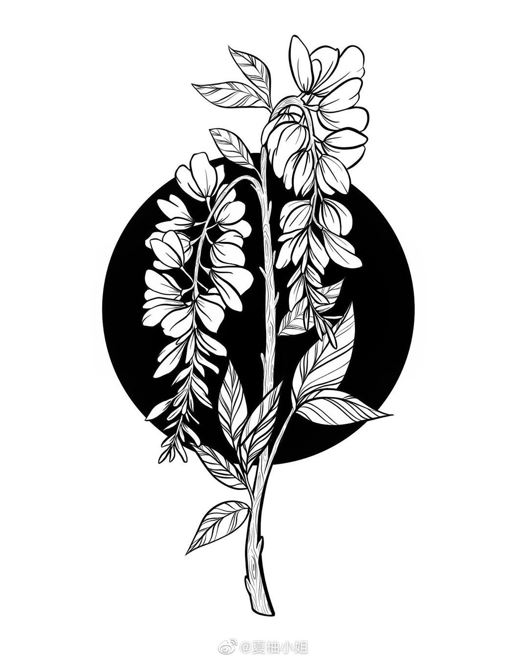 一支笔也能画简单漂亮的黑白植物插画