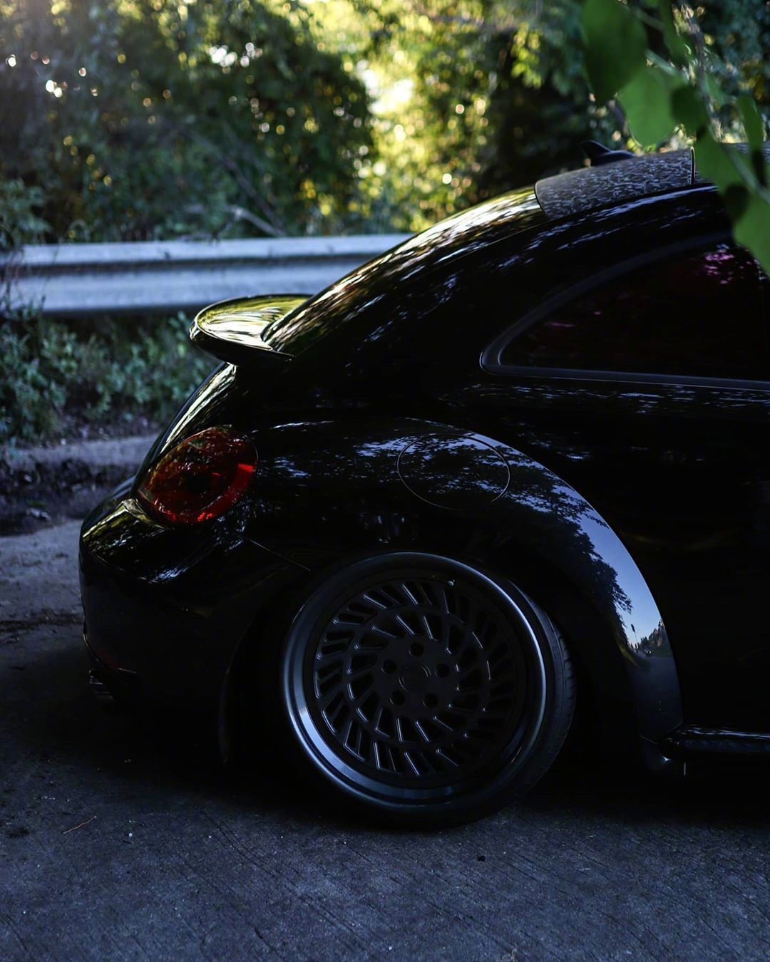 一枚漂亮的黑色甲壳虫_高清图集_新浪网